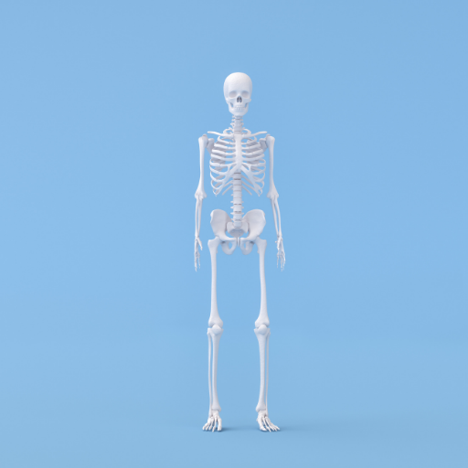 Unbreakable: Stay sturdy and strong with calcium for healthy bones