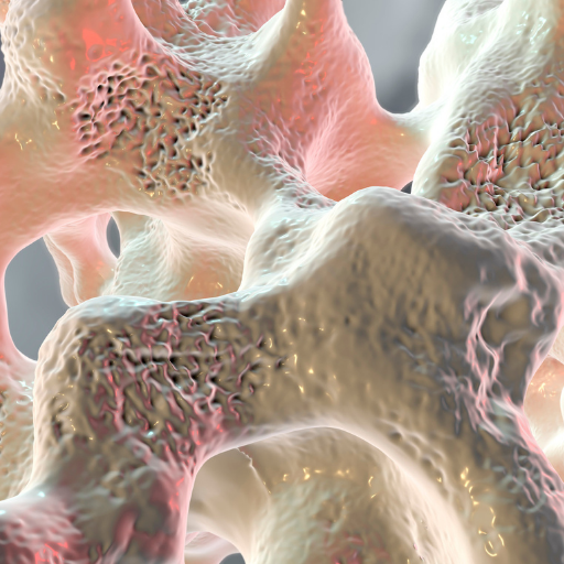 All you need to know about Calcium