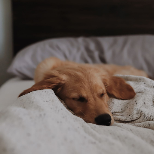 7 ways to increase your energy