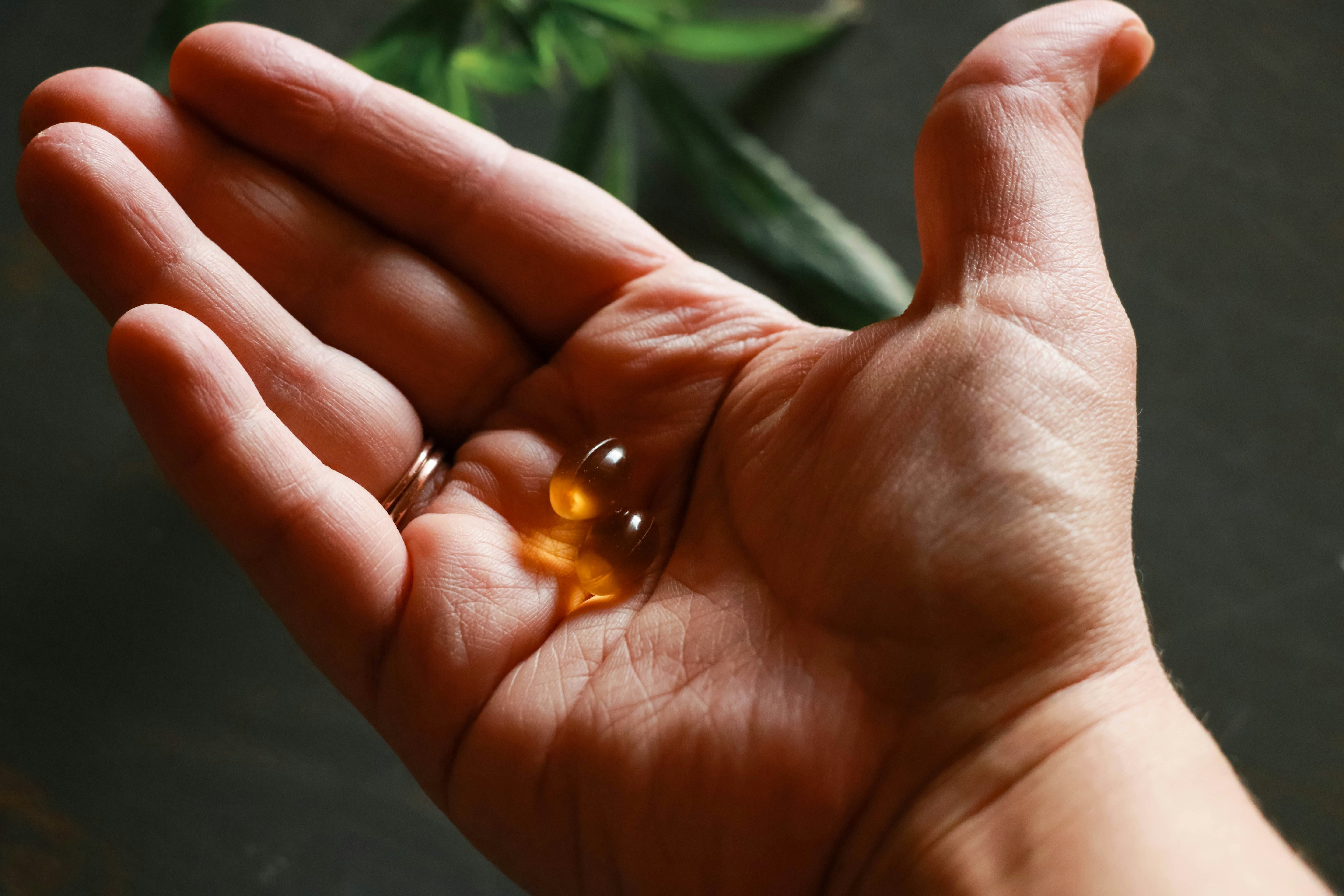 How Vitable Selects Ingredients: Why Bioavailability and Form Matter