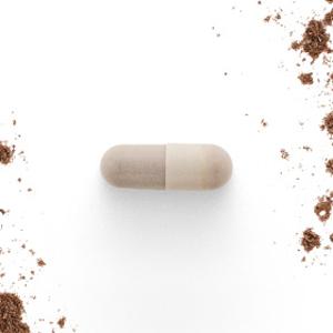 Adaptogenic Mushrooms