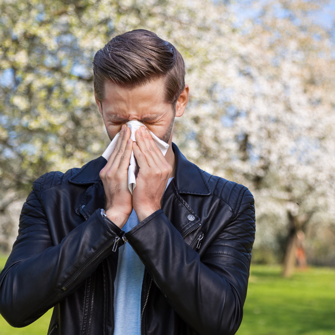 The link between allergies and our immune system