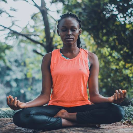 Stress management with ginkgo and brahmi