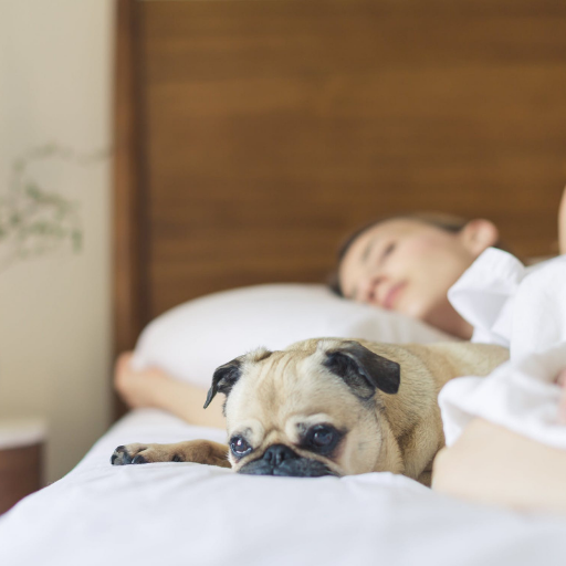 Why can't I sleep? Top 8 tips to get more sleep