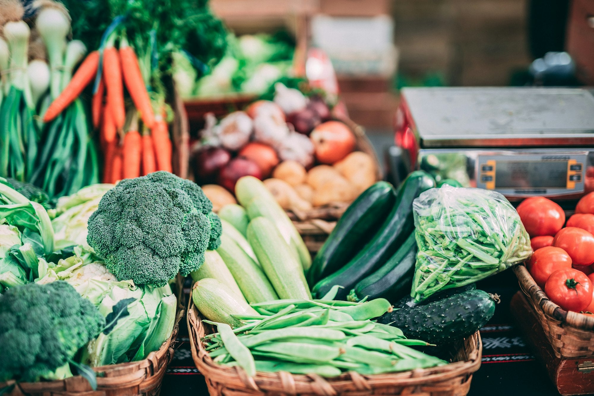 10 Different Types of Magnesium and Where to Source it