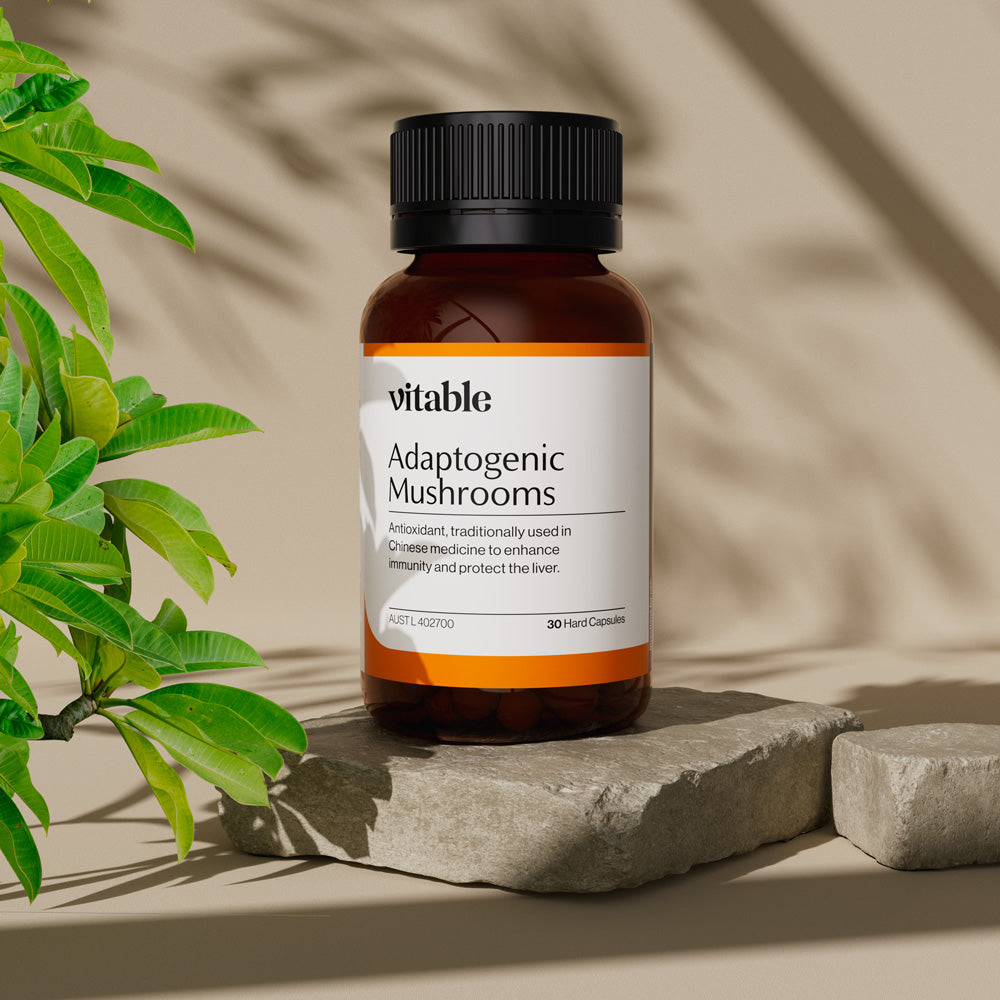 Adaptogenic Mushroom