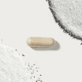 Daily Probiotic