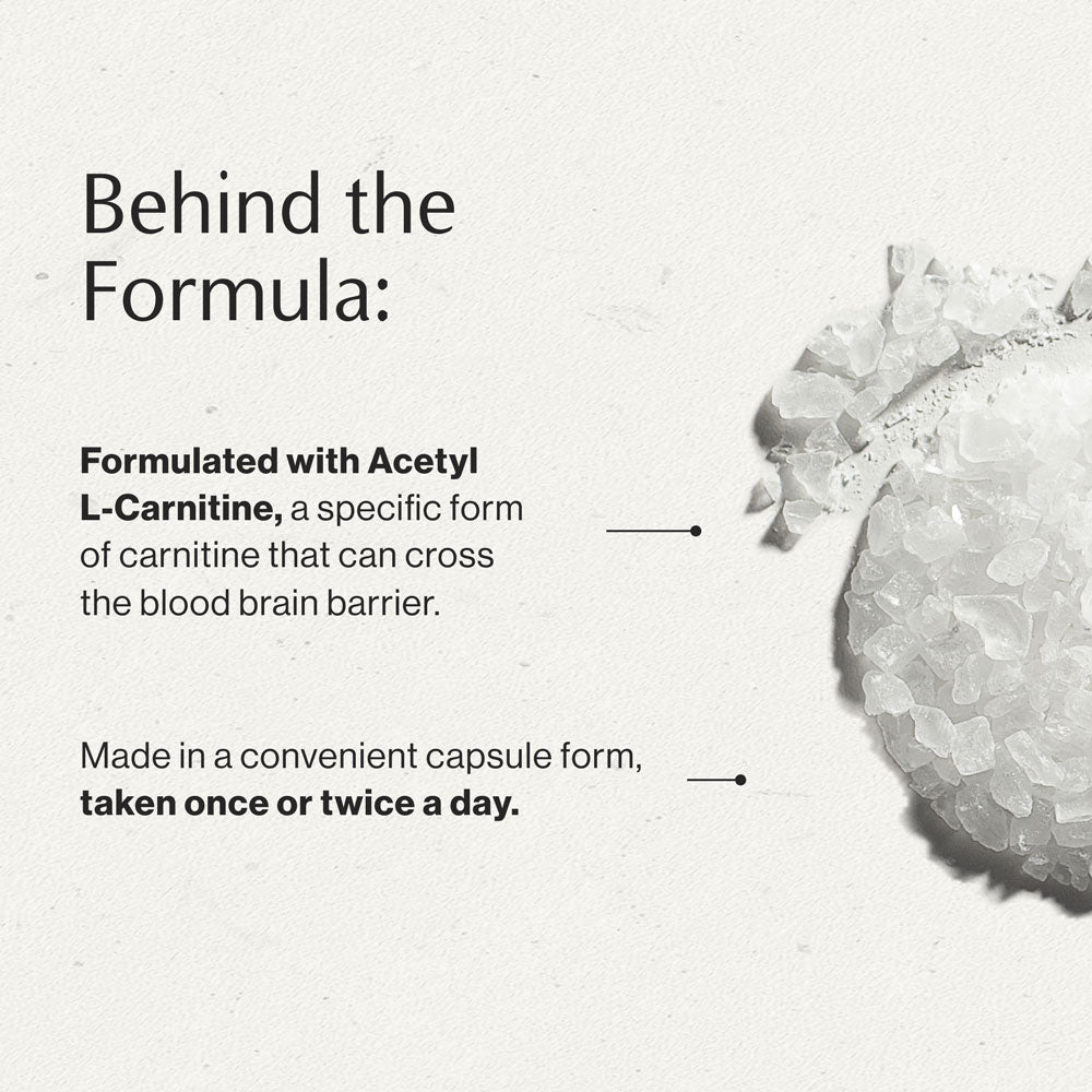 Acetyl L-Carnitine behind the formula