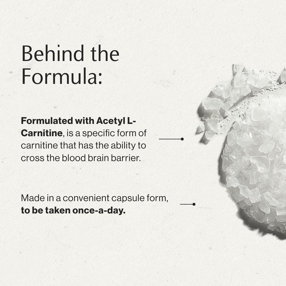 Acetyl L-Carnitine behind the formula