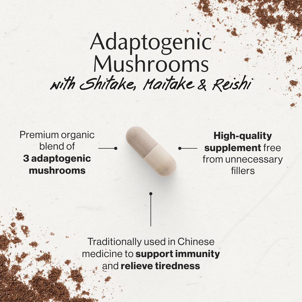 Adaptogenic Mushrooms key benefits